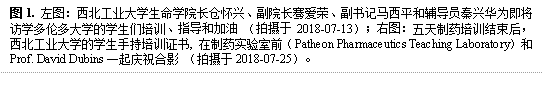 图1. 左图:MG冰球突破官网网站长仓怀兴、副院长骞爱荣、副书记马西平和辅导员秦兴华为即将访学多伦多大学的学生们培训、指导和加油 (拍摄于2018-07-13);右图:五天制药培训结束后,MG冰球突破官网网站的学生手持培训证书, 在制药实验室前(Patheon Pharmaceutics Teaching Laboratory)和Prof. David Dubins一起庆祝合影 (拍摄于2018-07-25)。